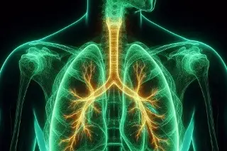 Alertan de enfermedad que puede acabar con tus pulmones en Veracruz; así te puedes proteger 