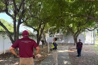 ¡Alerta en Lagos de Puente Moreno! Ardilla ataca a dos personas 