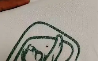 Denuncian supuesta presencia de garrapatas en sábanas del IMSS en Veracruz