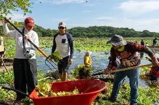 veracruz