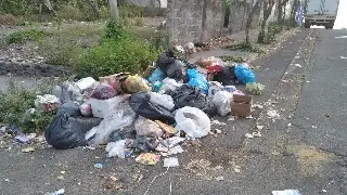 Multan a 30 personas por tirar basura en Veracruz; así puedes denunciar 
