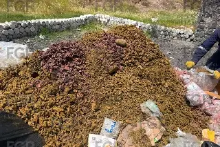 FGR quema más de media tonelada de droga: esto incineró