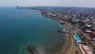 De Sudamérica a México: científicos detectan desplazamiento de peces