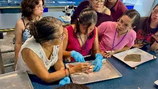 Los peces tienen una “caja negra” y científicos pueden leer lo que guarda