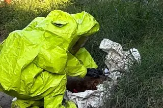 Movilización en colonia de Veracruz por hallazgo de tanque de gas cloro; esto pasó