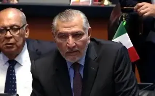 Adán Augusto rompe filas en el Senado y vota contra ley de bienestar animal