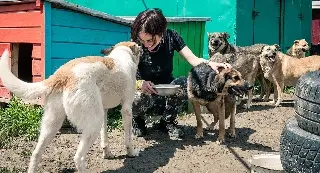 ¿Qué animales son considerados 'seres sintientes' en México? ¿Qué es eso?