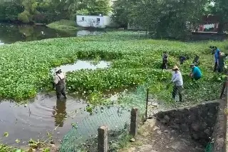 Cuidan lagunas de Veracruz y ahora la ONU los selecciona para un proyecto internacional