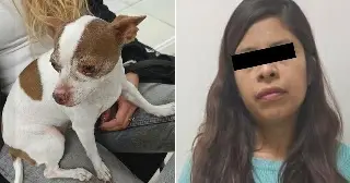Se le hizo fácil secuestrar a perrita chihuahua y pedir este rescate 