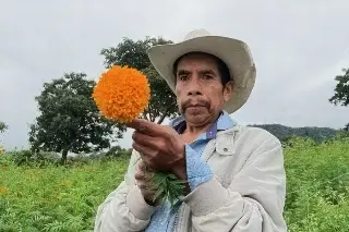 San Pablo Coapa espera 5 mil visitantes en recorridos de flor de cempasúchil