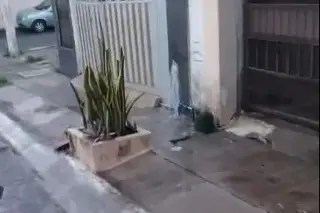 policiaca
