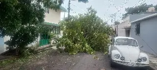 veracruz