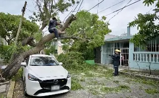 veracruz