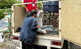 Muere perro tras recibir un disparo en colonia de Veracruz 