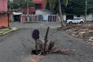 Peligroso socavón ya provocó un accidente en Boca del Río 