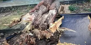 Hacen recuento de daños por el frente frío número dos en Boca del Río 