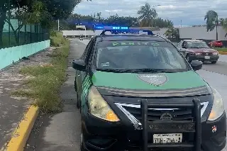 Un “lomito” murió tras ser atropellado por motociclistas en Veracruz 