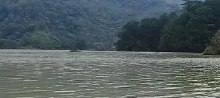 Desfogan presa La Soledad: ¿qué municipios de Veracruz vigilan por posible aumento del río?