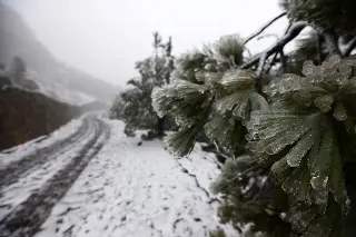 ¿Habrá “blanca Navidad” en Veracruz por El Niño?