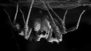 tecnociencia