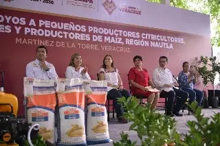 Veracruz tendrá nuevos viveros de cítricos; regalarán plantas a productores del campo