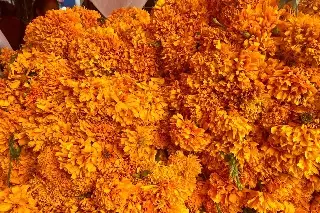Ventas por Día de Muertos se desploman en mercados de Veracruz; esta es la razón