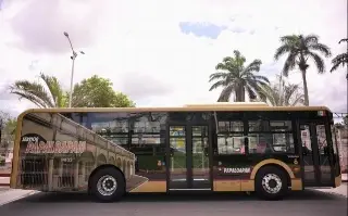 Arranca Servicio Papaloapan en esta zona de Veracruz