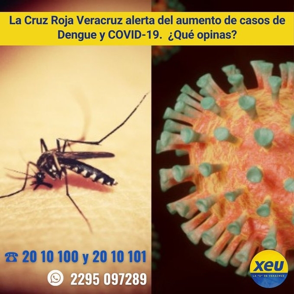 Imagen La Cruz Roja Veracruz alerta del aumento de casos de Dengue y COVID-19. ¿Qué opinas?