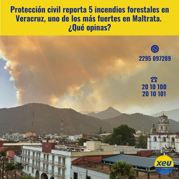 Imagen Protección civil estatal reporta 5 incendios forestales en Veracruz, uno de los más fuertes en Maltrata. ¿Qué opinas?