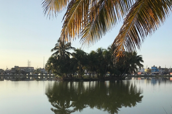 Imagen  Se secan las lagunas Lagartos y Tarimoya, ubicadas al norponiente de la ciudad de #Veracruz. ¿Cómo rescatarlas?