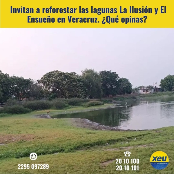 Imagen #SondeoXEU Invitan a reforestar las lagunas La Ilusión y El Ensueño en #Veracruz. ¿Qué opinas?