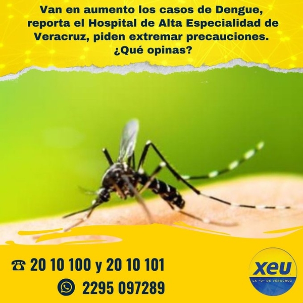 Imagen #SondeoXEU Van en aumento los casos de Dengue, reporta el Hospital de Alta Especialidad de Veracruz, piden extremar precauciones. ¿Qué opinas?