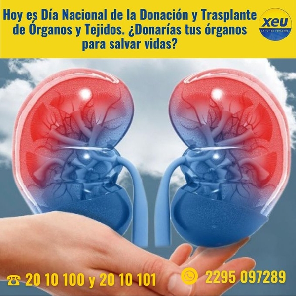 Imagen #SondeoXEU Hoy es Día Nacional de la Donación y Trasplante de Órganos y Tejidos. ¿Donarías tus órganos para salvar vidas?