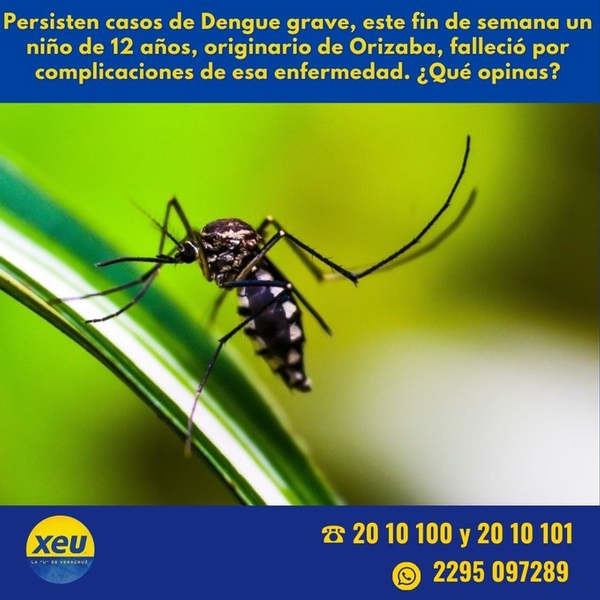 Imagen #SondeoXEU Persisten casos de Dengue grave, este fin de semana un niño de 12 años, originario de Orizaba, falleció por complicaciones de esa enfermedad. ¿Qué opinas?