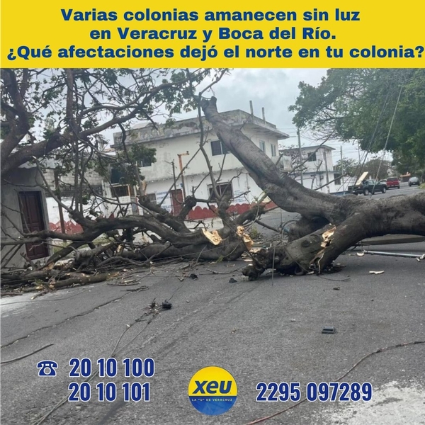 Imagen #SondeoXEU Varias colonias amanecen sin luz en Veracruz y Boca del Río. ¿Qué afectaciones dejó el norte en tu colonia?