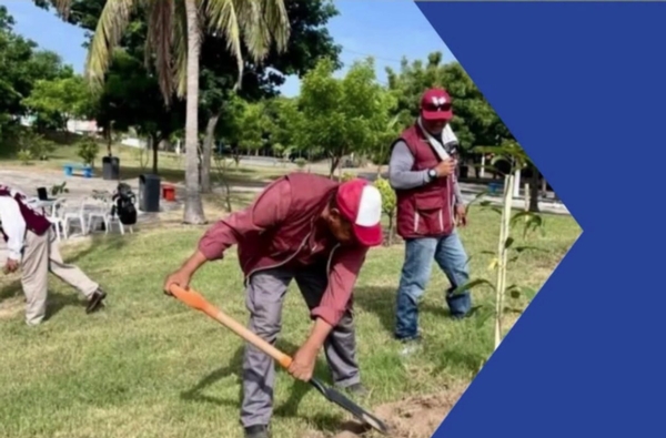 Imagen Este domingo se realizó una jornada nacional de reforestación, incluido Veracruz, con el objetivo de restaurar áreas verdes y ayudar a reducir las islas de calor. ¿Qué zonas consideras que requieren ser reforestadas?